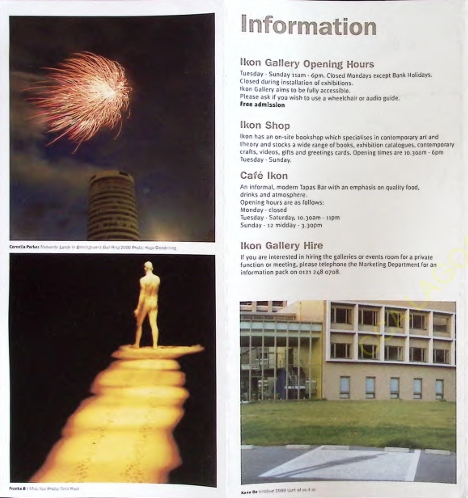 Richard Billingham : Ikon Gallery