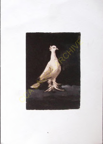 Picasso Picasso kriegsjahre 1939 bis 1945