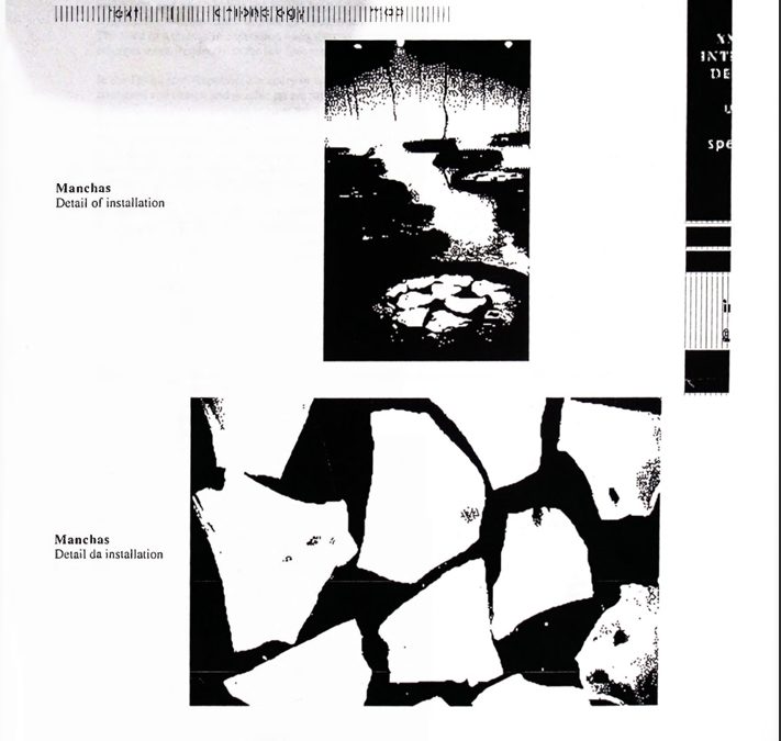 History of Dominican installation artist Tony Capellán