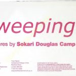 Screenshot_20-7-2026_132823_ Sokari Douglas Camp "Sweeping"