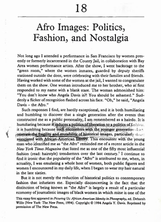 Afro Images: Politics, Fashion, and Nostalgia