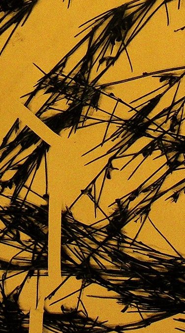 Uriel Orlow: Theatrum Botanicum Monograph and Essay Compendium